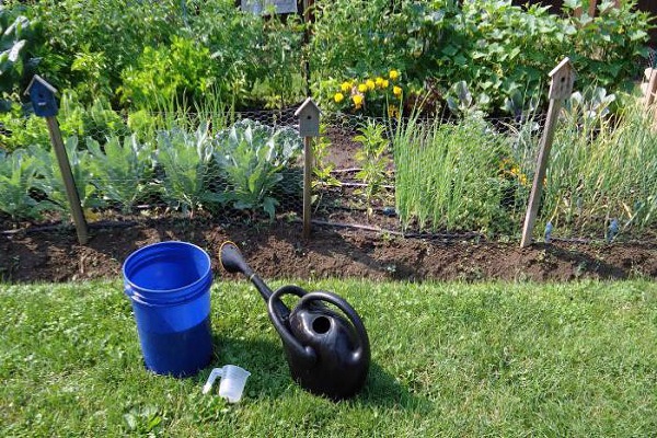 watering can