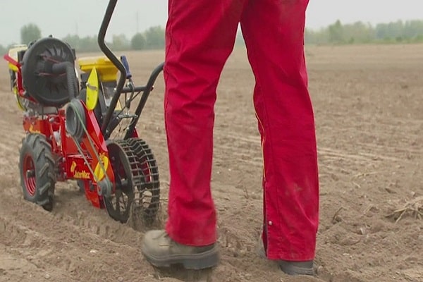 How to choose or make your own manual garlic seeder