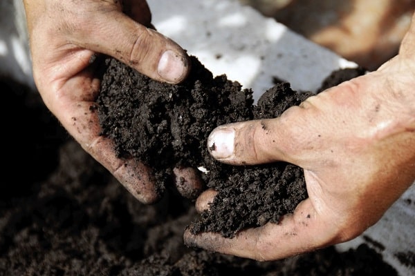 terre pour la plantation