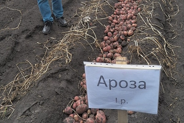 règles de la technologie agricole