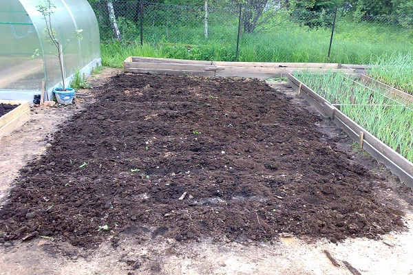 potatoes and loam