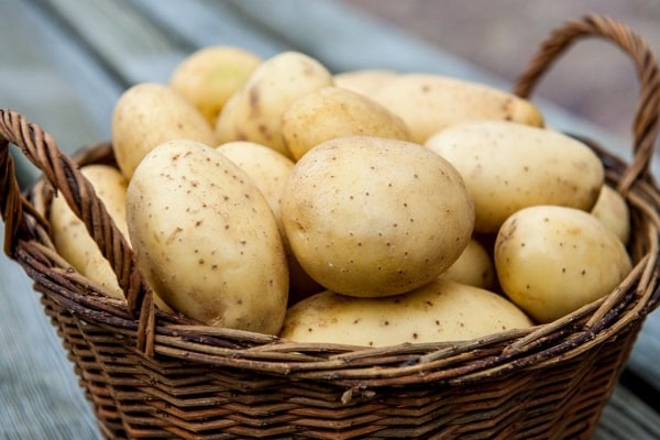 sensible à l'alimentation