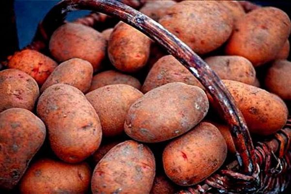 potatoes in a basket