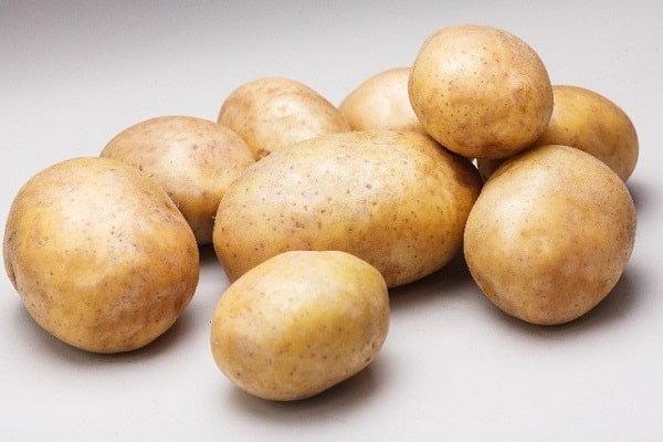 starch in tubers