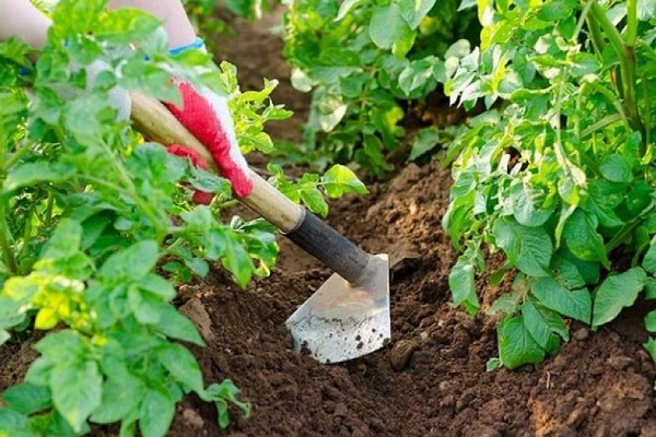 fertilizantes fosfatados