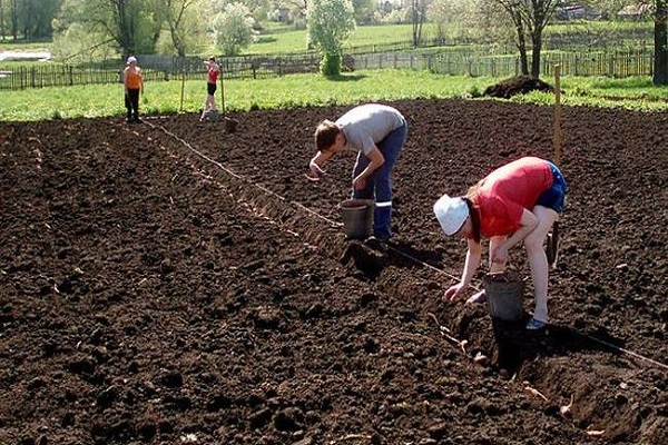 daños mecanicos