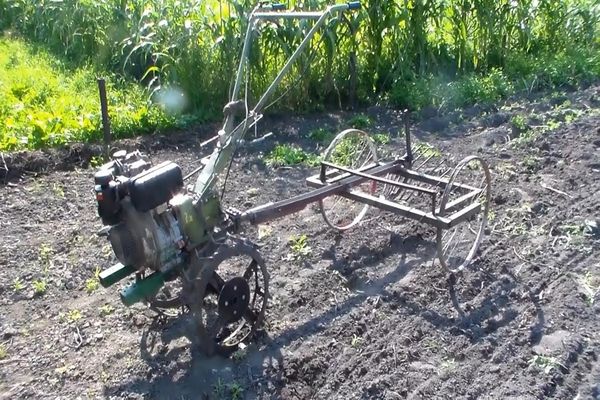 excavadoras de patatas en el suelo