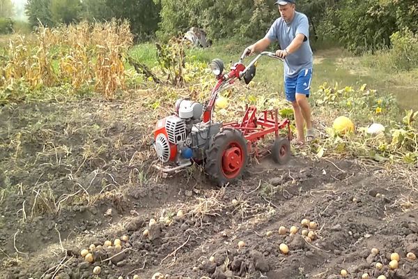 harvesting