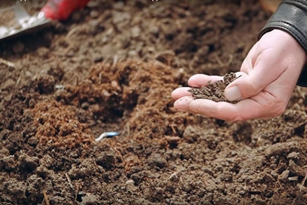 fertiliser avec de l'humus