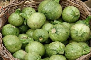 Description of the best varieties of round zucchini, features of cultivation and care