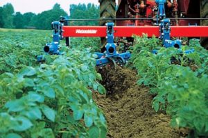 Types of cultivators for inter-row tillage and how to make them yourself