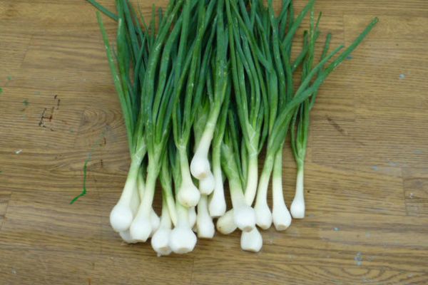 green onions