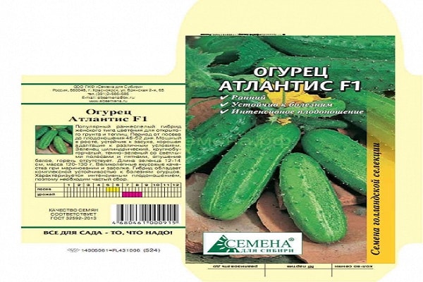 cucumber seeds Atlantis f1