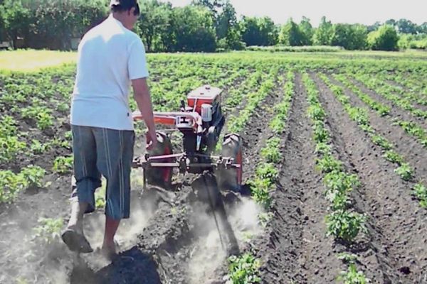 disc walk-behind tractors