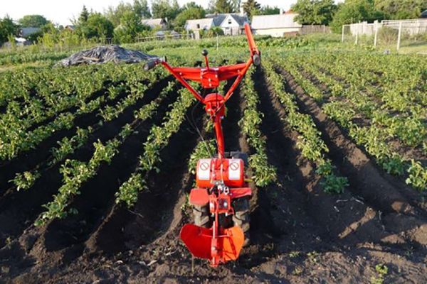 single row walk-behind tractor