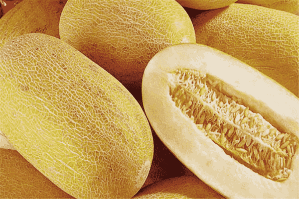 melon torpedo