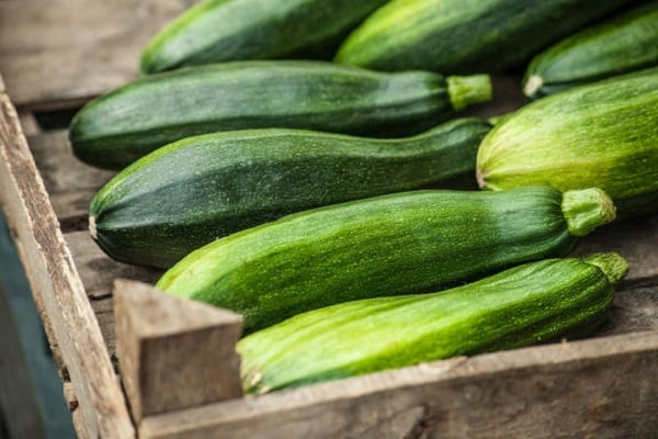 courgettes enregistrer