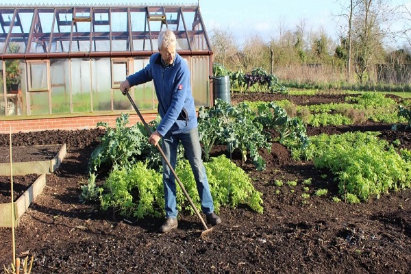 hombre en el jardin