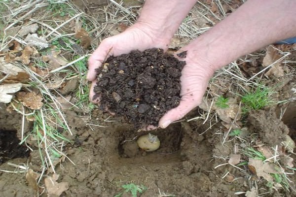 fertilizar una parcela