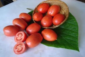 Description of the tomato variety Salute, features of cultivation and care