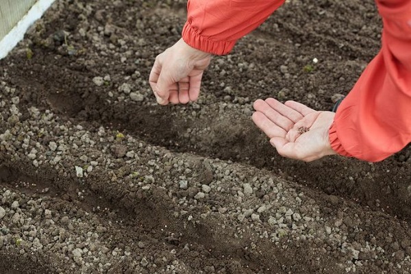 soil preparation