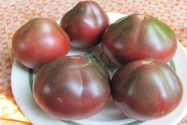 tomatoes on a plate