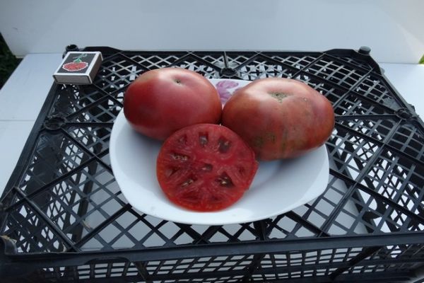 potongan tomato