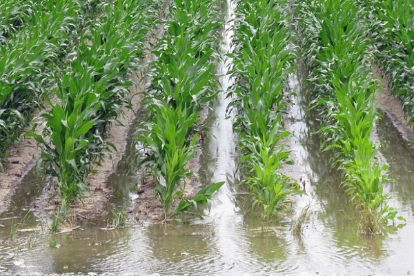 agroklimatické podmienky