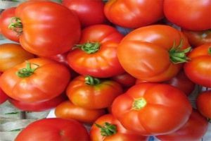 Description de la variété de tomate Madonna F1, caractéristiques de culture et d'entretien