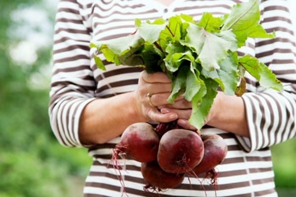 beet harvest