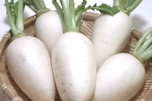 white radish