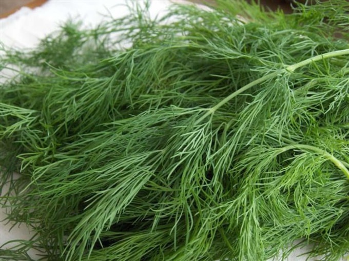 dill sprigs