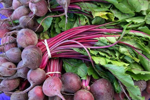 beet harvest