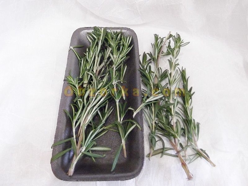 rosemary on a dish