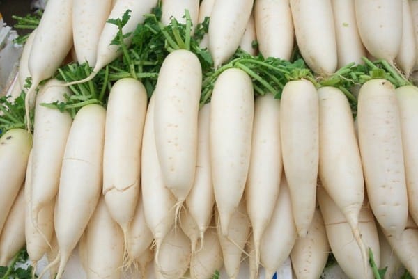 daikon de rábano