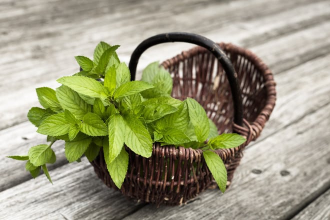 mint in a basket