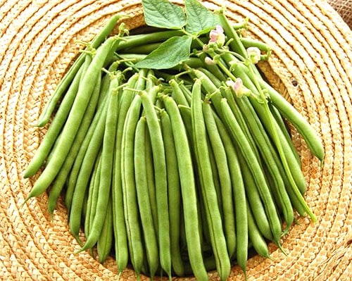 haricot vert