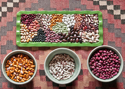 bean varieties