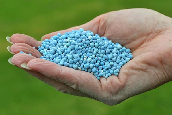 Fertik fertilizer in granules