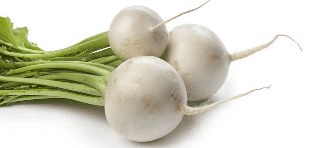 white radish