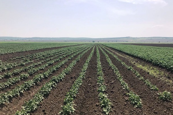 tocht en overstromingen