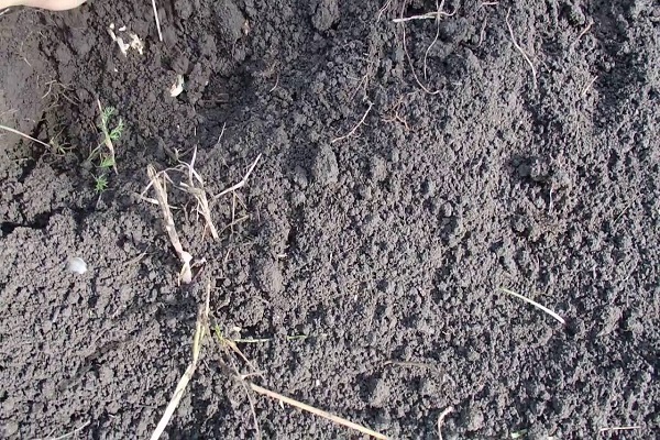 seleccionado para camas de jardín