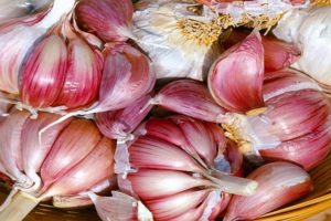 Description of the Petrovsky garlic variety, its characteristics and yield