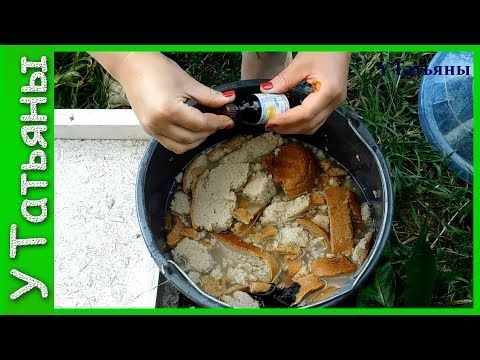 decoction of bread dressing