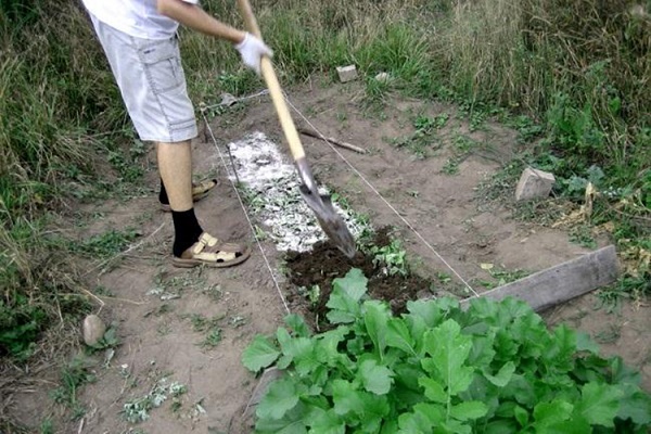 otevřená půda