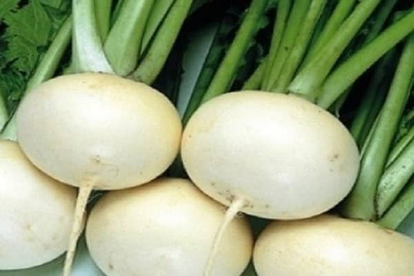 crestas de daikon