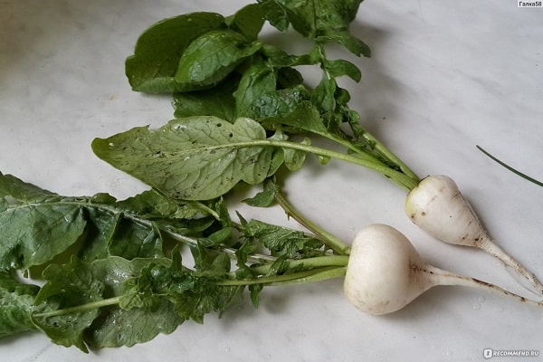 affecté par les champignons