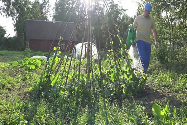 vandens trūkumas