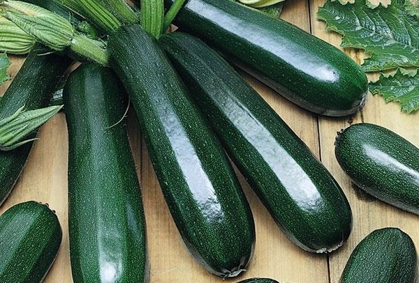 appearance of zucchini Tsukesh