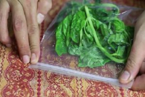 How can you keep fresh basil in the refrigerator for the winter at home?